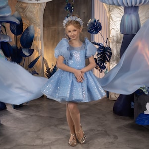 Blumenmädchen Kleid, Blumenmädchen Kleid Tüll, Blumenmädchen Kleid Spitze, Blaues Blumenmädchen Kleid, Erstkommunion Kleid, Junior Brautjungfer Kleid
