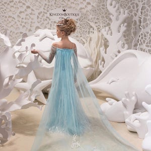 Licht Blau satin Tüll Langarm Blumenmädchen Kleid für besonderen Anlass Brautjungfer Party Hochzeit Festzug erste Kommunion Fotoshooting