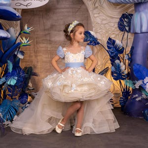 Blumenmädchenkleid, Tüll-Blumenmädchenkleid, Spitzenkleid, Cappucino und hellblaues Kleid, Erstkommunionskleid, Junior-Brautjungferkleid