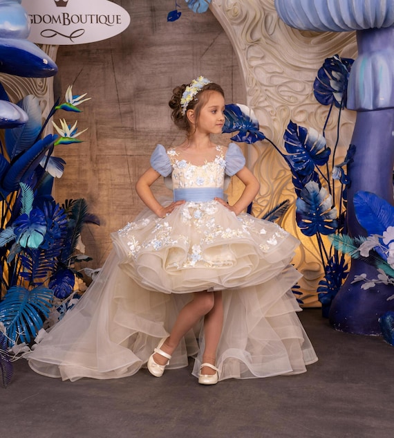 Flower Girl Dress, Tulle Flower Girl Dress, Lace Dress, Cappucino and Light Blue Dress, First Communion Dress, Junior Bridesmaid Dress