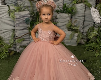 May include: A young girl wearing a blush pink tulle dress with lace detailing and a crown. The dress has a full skirt and a fitted bodice. The girl is standing in front of a green background.