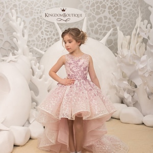 Rosa Spitze Tüll Blumenmädchen Kleid für besonderen Anlass Brautjungfer Party Hochzeit Festzug Fotoshooting Weihnachten