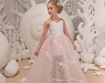 May include: A young girl wearing a pink tulle dress with white floral embroidery and a sweetheart neckline. The dress has a layered skirt and is decorated with delicate lace. The girl is standing in a white studio setting with a white background.