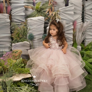 Blush rosa Silber Spitze Tüll Blumenmädchen Kleid für besonderen Anlass Brautjungfer Party Hochzeit Festzug erste Kommunion Fotoshooting Weihnachten