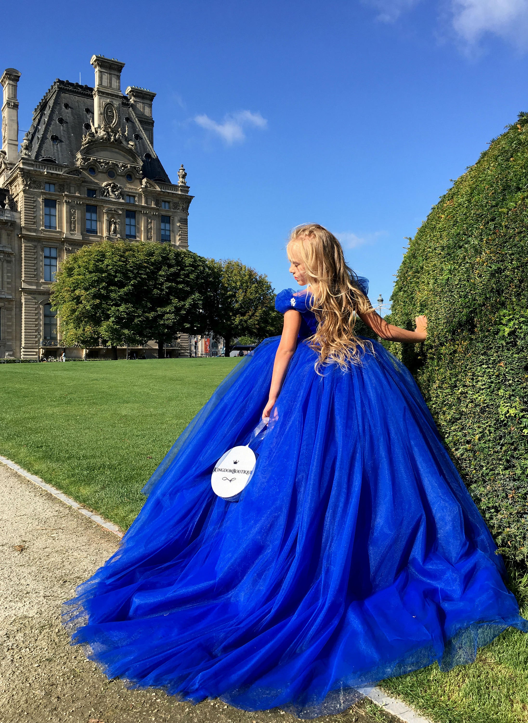 Beautiful Royal Blue Flower Girl Dress - Birthday Wedding Party Holiday Bridesmaid Royal Blue Tulle Flower Girl Dress 19-002