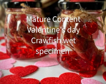 Ejemplar húmedo de cangrejo de río del día de San Valentín