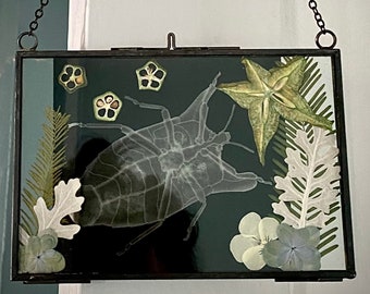 Arte mural de radiografía de insectos con flores y frutas.