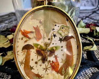 Decoración del hogar con mantis religiosa