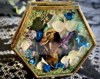 Cerdo momificado, arte botánico, joyero antiguo