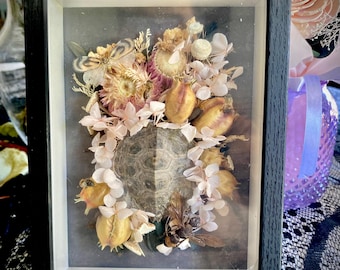 Arte floral con caparazón de tortuga, avispa, mosca linterna y abejas (las abejas se obtienen de forma ética local y el dinero se destina a las abejas).