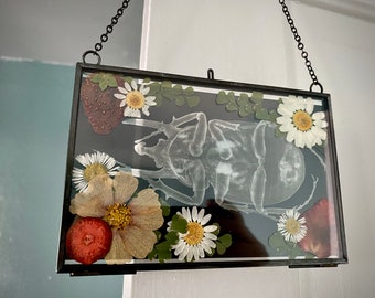 Arte mural de radiografía de insectos con flores y frutas.