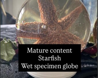 Globo de muestra húmeda de estrella de mar