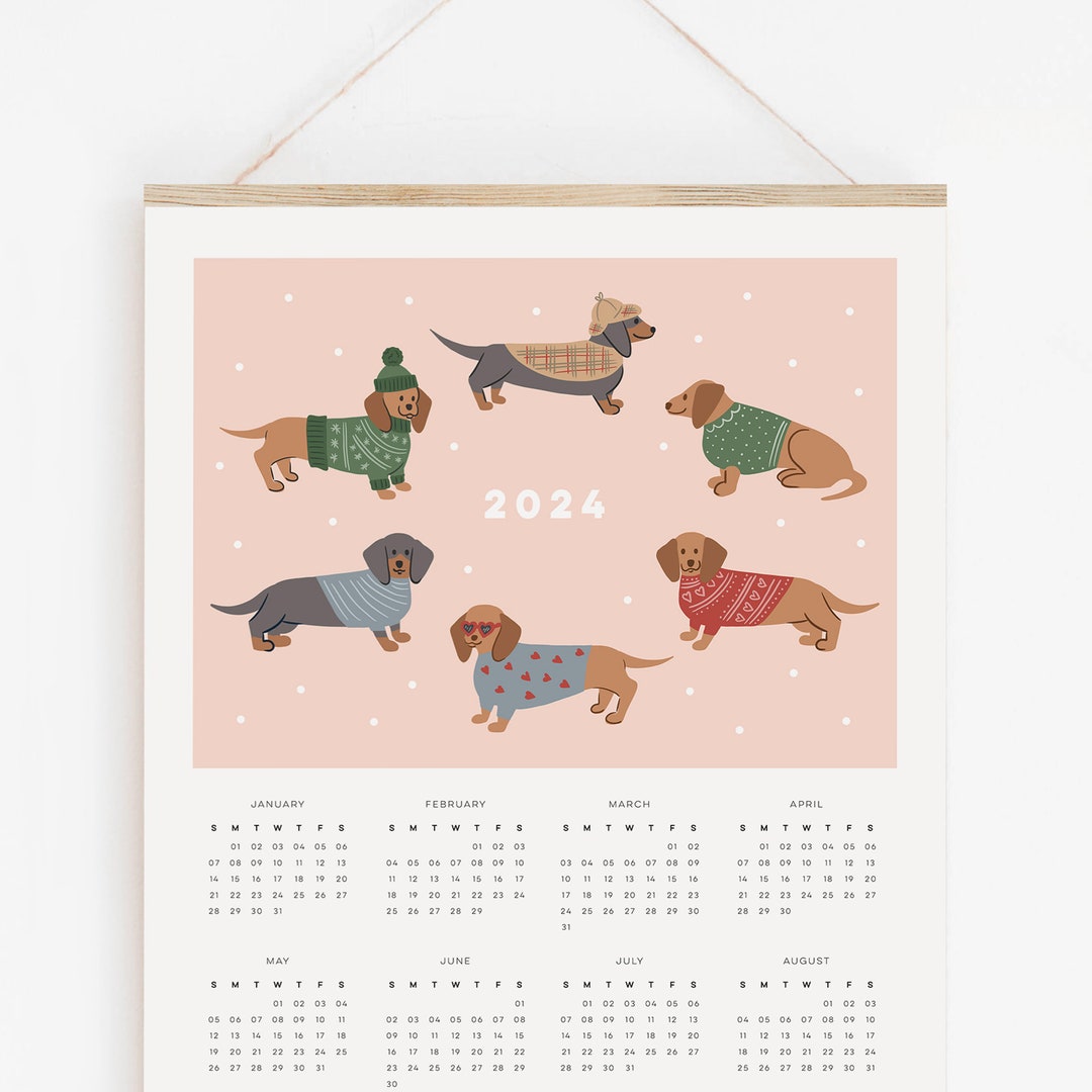 2024 Dachshund Calendar, Sausage Dog Wall Calendar, Illustrated Dog
