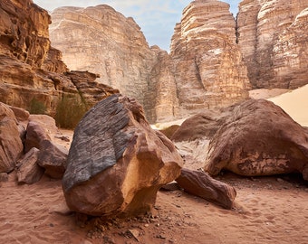 Close Up of Rocky Desert Scene / Terrarium Background