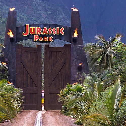 Jurassic Park Background Petbackdrops Terrarium Background Etsy