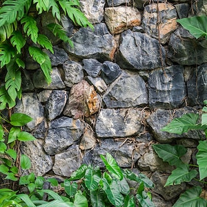 Aquarium / Terrarium Background / Rock Wall & Plants image 1