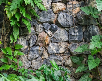 Aquarium / Terrarium Background / Rock Wall & Plants