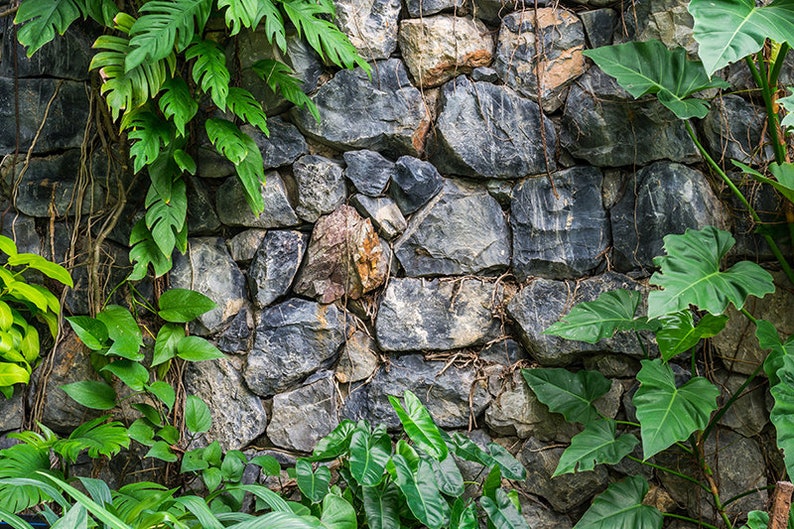 Aquarium / Terrarium Background / Rock Wall & Plants image 1