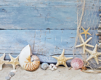 Starfish / Wood / Shells Aquarium Background