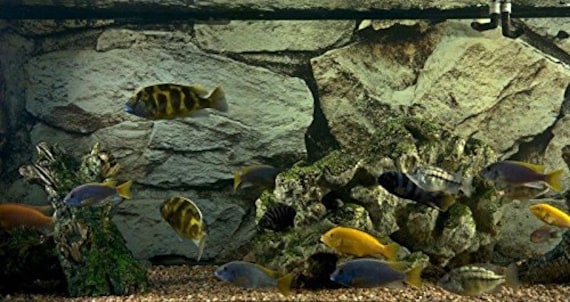 Silver Medley Rock / HD Stone Aquarium Background Rocky Fish Tank Background  