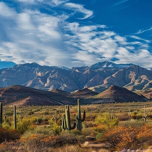 May include: A panoramic view of a desert landscape with mountains in the background. The sky is blue with white clouds. There are cacti and other desert plants in the foreground.