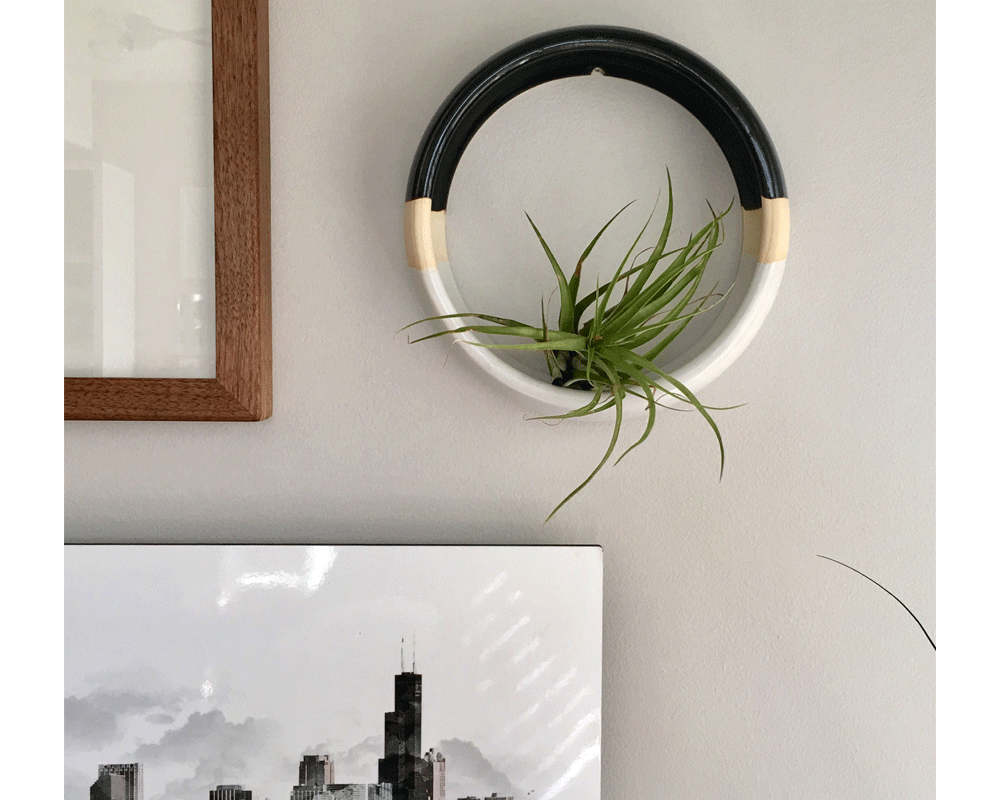 Wall Hanging Air Plant Holder Large Wall Hanging Planter