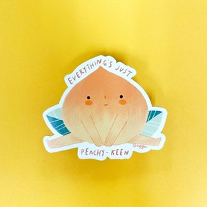 Peach/Magnet/refrigerator magnet/cute/gift/peachy keen/positive vibes/unique gifts/fruit/illustration/home decor/cute decoration