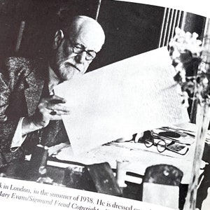 Psychiatrist Vintage Biography 1988 of Freud A Life for our Time - Vintage Hardcover Book -Alienist, Father of Psychiatry - Peter Gay