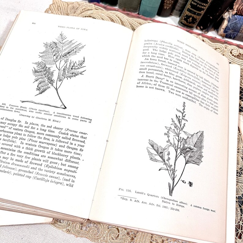Antique 1913 Book the Weed Flora of Iowa Geological Survey Des Moines ...