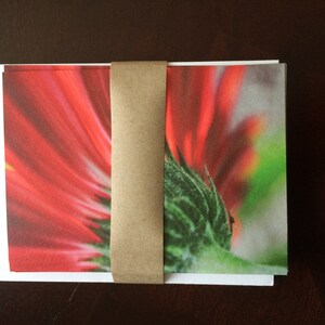 Rote Gerbera Daisy Grußkarte, Blumen-Geburtstagskarte, Blumenkarte für Frau