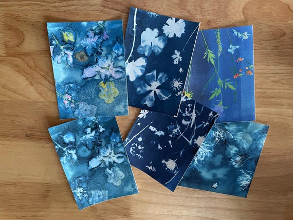 Cyanotype Art Cards: Bundle of 4- from original cyanotype art