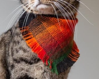 fancy cat accessories