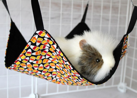 Halloween Candy Corn Honeycomb Rat Hammock