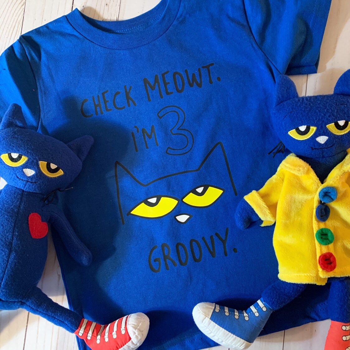 Pete the Cat Birthday Shirt Birthday Tee Blue Cat Check Etsy