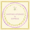 Shipping Upgrade to Express product logo