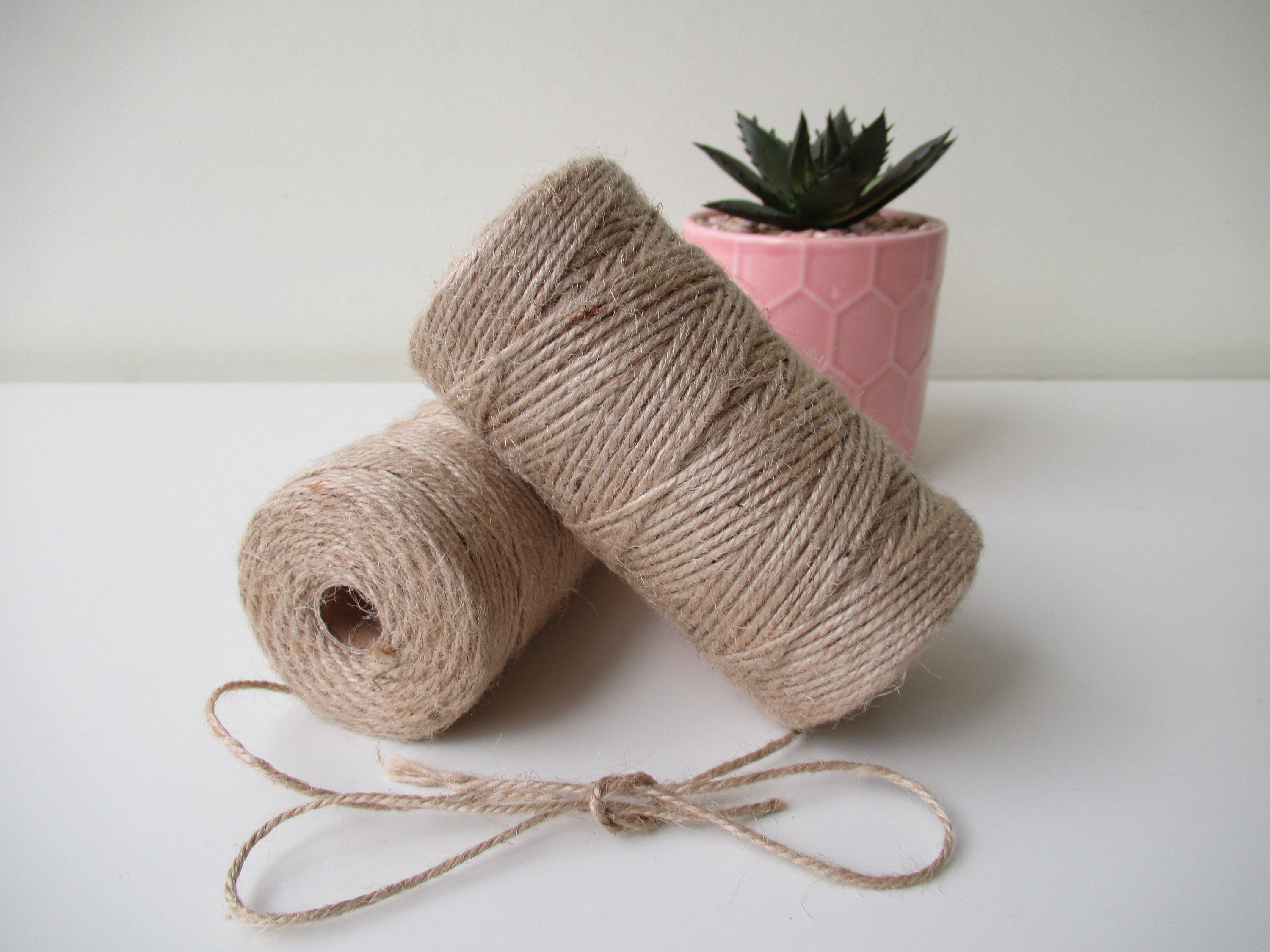 Natural Jute Twine 4mm 100 Feet Crafting Twine String for Crafts Gift, Craft Projects, Wrapping, Bundling, Packing, Gardening and More, Jute Rope to