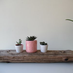 Rechteckiger Holz Übertopf Luft pflanzenhalter Treibholz Übertopf Sitzender Topf Sukkulenten Übertopf Air Plant Display 27"
