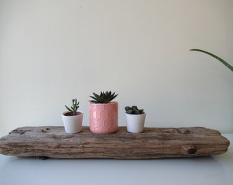 Rectangular Wood Planter Air Plant Holder Driftwood Planter Sitting Pot Succulent Planter Air Plant Display 27"