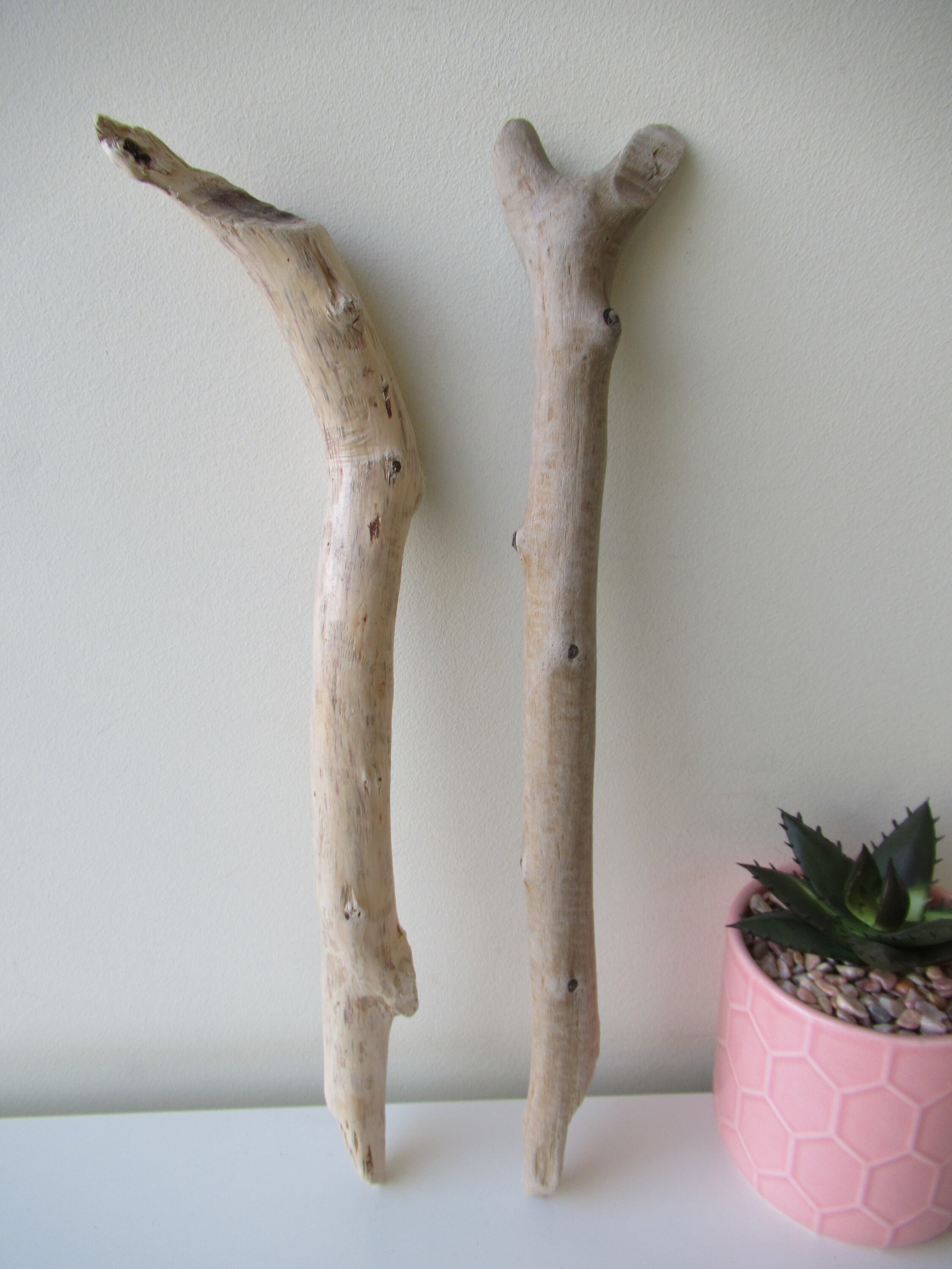 Odd & Curved Driftwood Branches Unique Driftwood Beach Decor Etsy