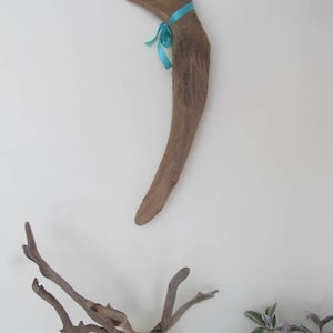 Escultura única de madera a la deriva Sea Made Hangable Driftwood Art Wall Hanging Drift Wood Beach Decor Driftwood Odd Shaped 21 &quot;