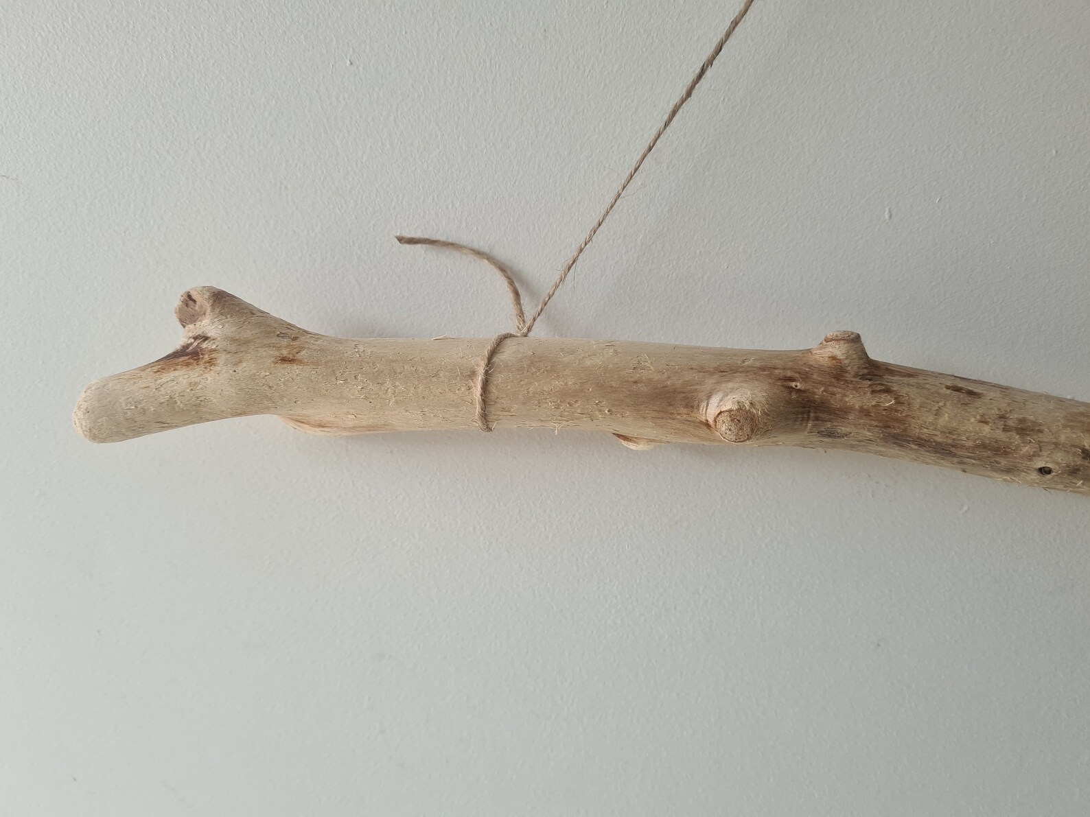 Sturdy Light Driftwood Branch Wall Art Driftwood Piece For Etsy