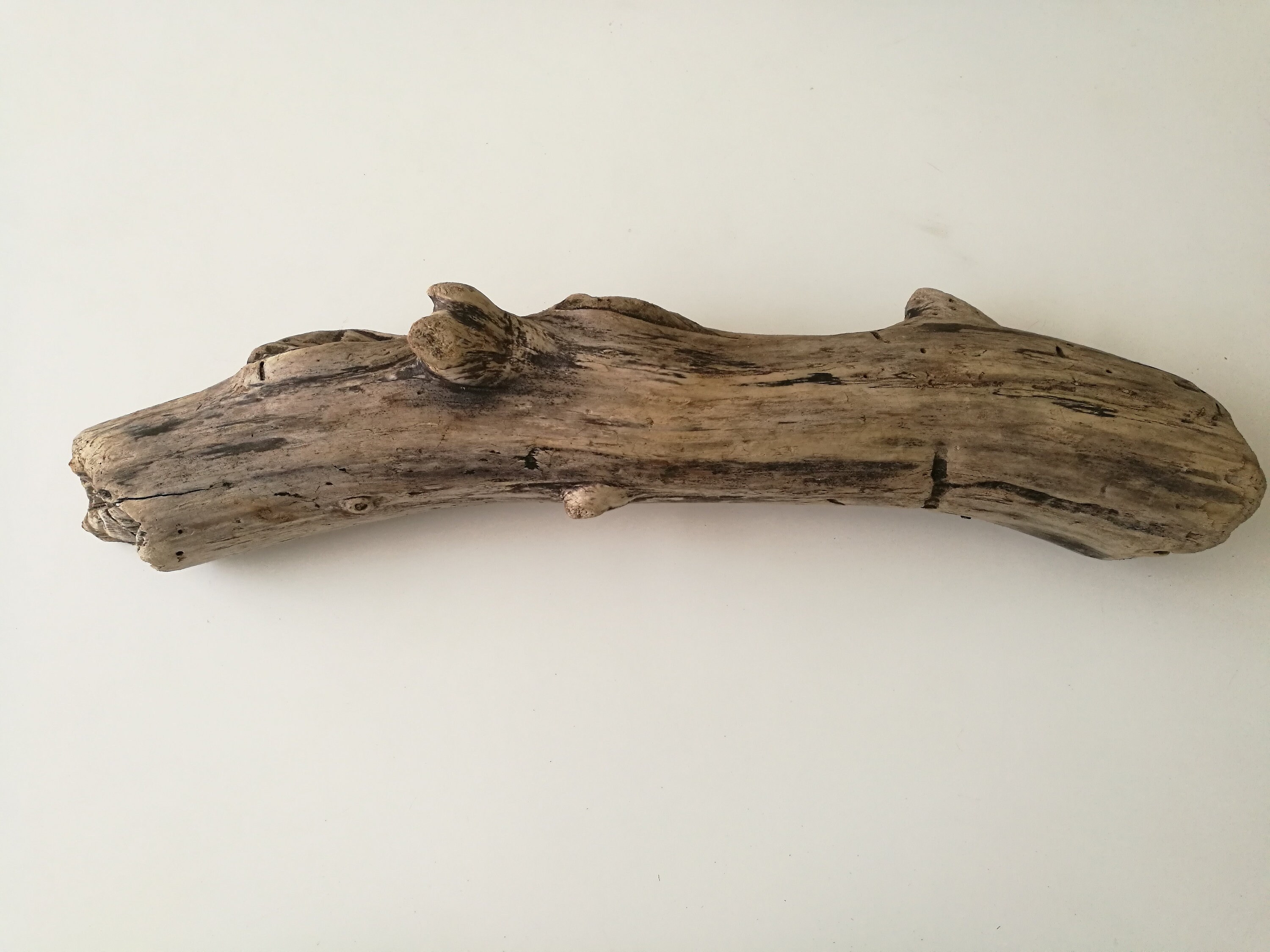 Long Rounded Driftwood Piece For Air Plants Large Driftwood Etsy