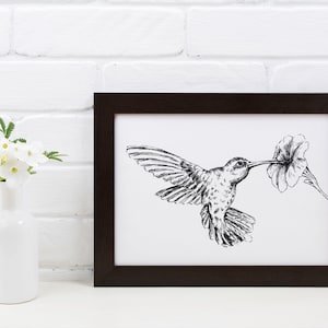 Kolibri Kunstdruck, Boho Bauernhaus Poster, Kolibri Poster, Schwarz-Weiß Wandkunst, Kolibri Dekor, Home Decor Geschenke