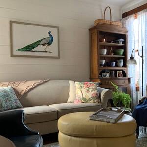 Printed Peacock Wall Art, Peacock Poster, Peacock Art Print On Paper, Peacock Wall Decor, Peacock Sketches, Bird Art Print, Bird Wall Decor