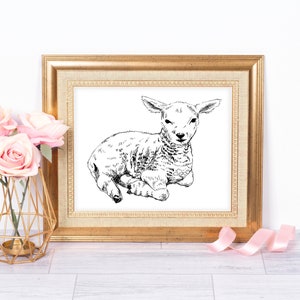 Lamb Drawing Wall Art, Farmhouse Nursery Black And White Sheep Print, Printable Lamb Poster