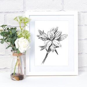 Wall Art Prints Black And White, Botanical Print, Digital Download Art Prints, Newhome Gift, Nature Prints, Flower Print, Lily Print