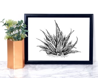 Poster Art Download, Printable Wall Art Nature, Nature Prints, Nordic Art, Realistic Art, Botanical Print, Nature Wall Art, Aloe Vera