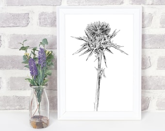 Puede incluir: Impresión en blanco y negro de arte de línea de una flor de cardo con un tallo largo. La impresión está enmarcada en un marco blanco y se muestra en una pared de ladrillo blanco.