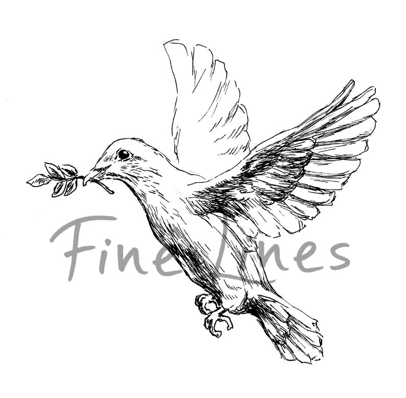 Biblical Wall Art Dove Print White Dove Black And White | Etsy