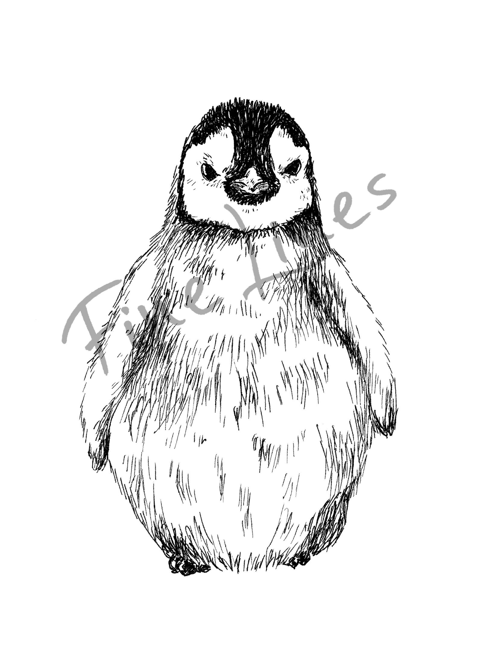 Black and White Penguin Print Christmas Coloring Pages - Etsy